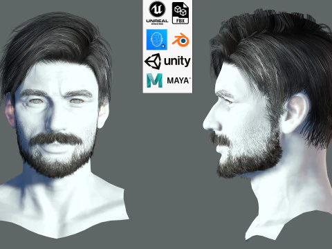 逼真的头发胡须眉毛胡须 p6 3D 模型