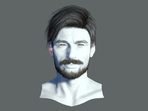 Realistic Hair Beard brows mustache p6 Modelo 3D