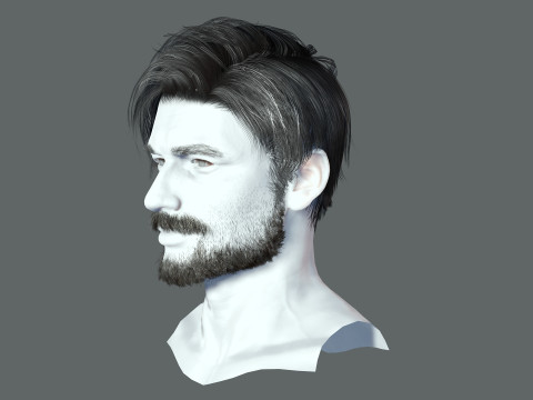 Realistic Hair Beard brows mustache p6 Modelo 3D