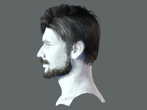 Realistic Hair Beard brows mustache p6 Modelo 3D