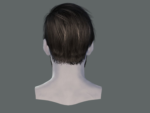 Realistic Hair Beard brows mustache p6 Modelo 3D