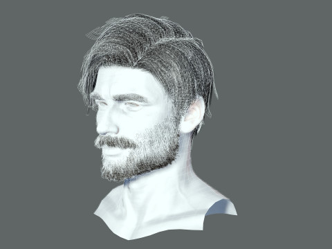 Realistic Hair Beard brows mustache p6 Modelo 3D
