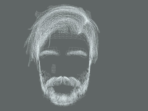 Realistic Hair Beard brows mustache p6 Modelo 3D