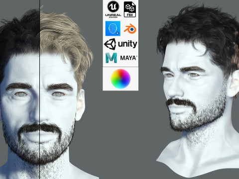 Realistic Hair Beard brows mustache 3D 模型