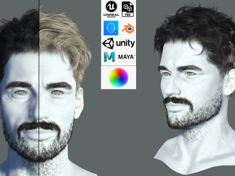 现实的头发胡须眉毛胡子 3D 模型