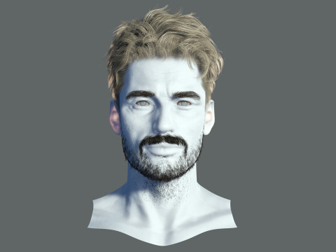 Realistic Hair Beard brows mustache 3D 모델