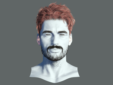 Realistic Hair Beard brows mustache 3D 모델