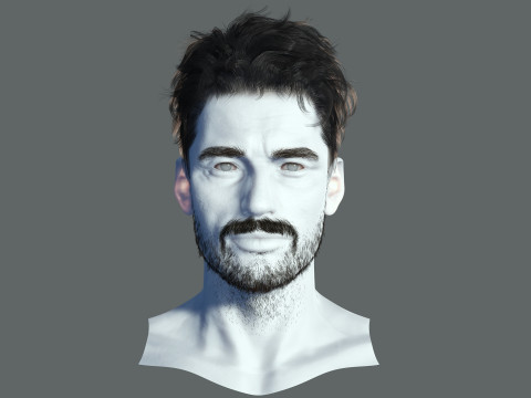 Realistic Hair Beard brows mustache 3D 모델