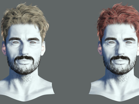 Realistic Hair Beard brows mustache 3D 모델