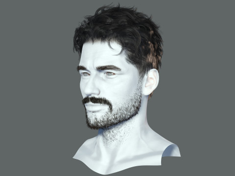 Realistic Hair Beard brows mustache 3D 모델