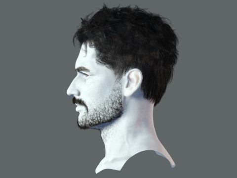 Realistic Hair Beard brows mustache 3D 모델
