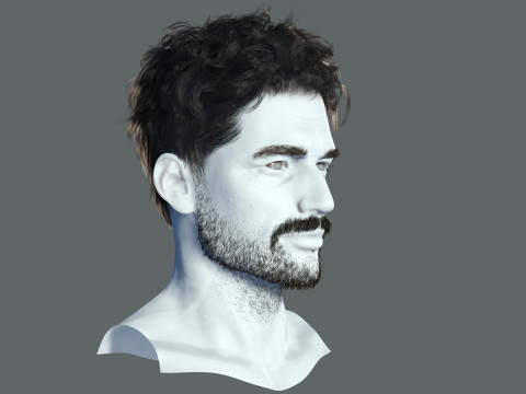 Realistic Hair Beard brows mustache 3D 모델