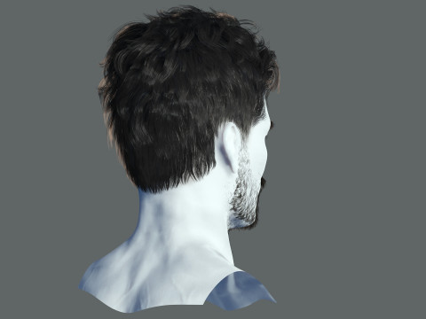 Realistic Hair Beard brows mustache 3D 모델