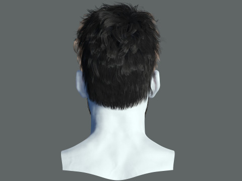 Realistic Hair Beard brows mustache 3D 모델