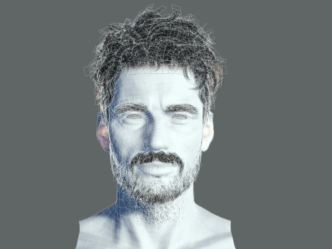 Realistic Hair Beard brows mustache 3D 모델