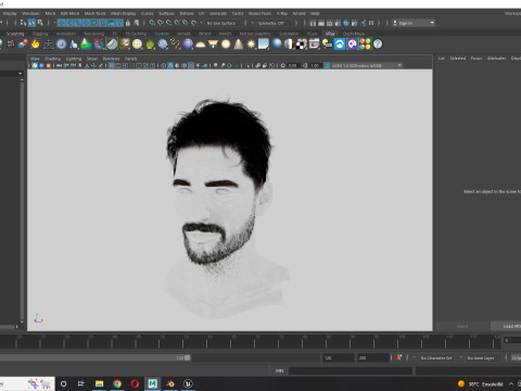 Realistic Hair Beard brows mustache 3D 모델
