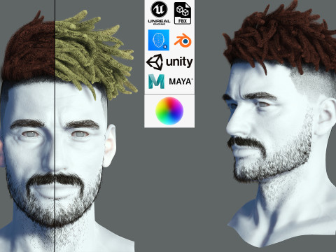Realistic Hair Male Beard brows mustache p8 card 3D 模型