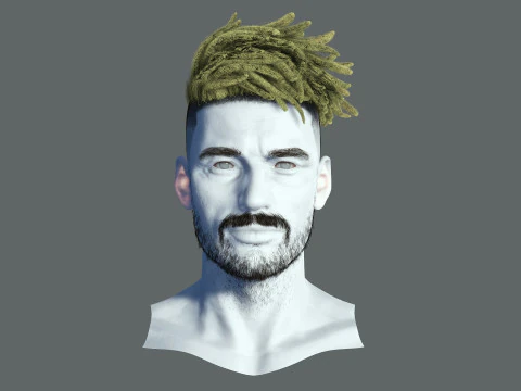 Realistic Hair Male Beard brows mustache p8 card 3D Model