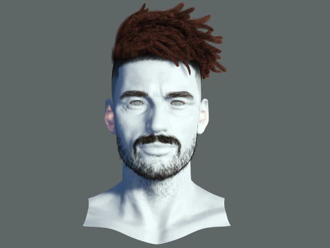 Realistic Hair Male Beard brows mustache p8 card 3D Model