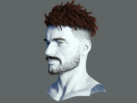 Realistic Hair Male Beard brows mustache p8 card 3Dモデル