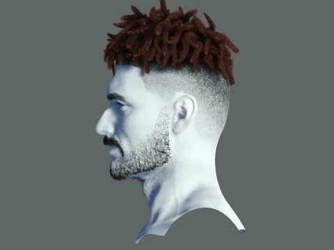 Realistic Hair Male Beard brows mustache p8 card 3D Model
