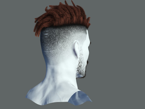Realistic Hair Male Beard brows mustache p8 card 3Dモデル