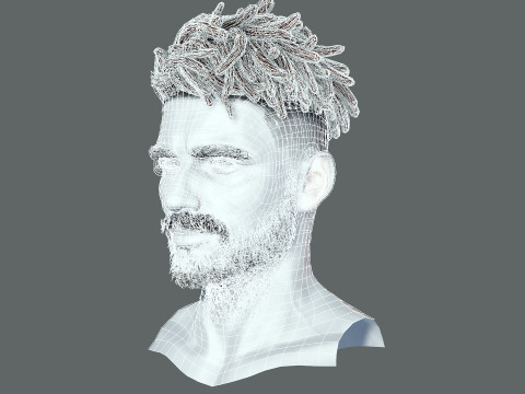 Realistic Hair Male Beard brows mustache p8 card 3Dモデル
