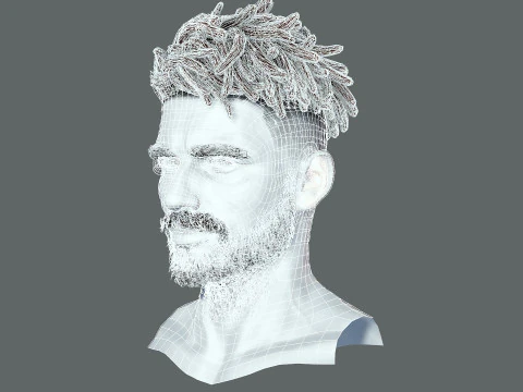 Realistic Hair Male Beard brows mustache p8 card 3D Model