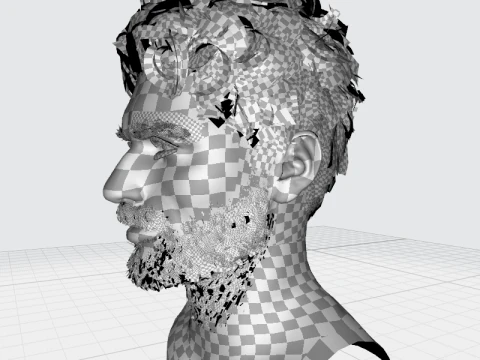 Realistic Hair Male Beard brows mustache p8 card 3D Model