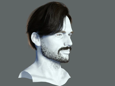 Realtime hair man Polygone Hairstyle 3D Model