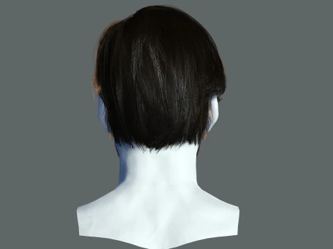 Realtime hair man Polygone Hairstyle 3D Model
