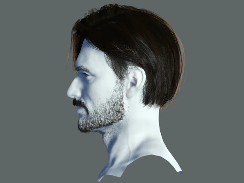 Realtime hair man Polygone Hairstyle 3D Model