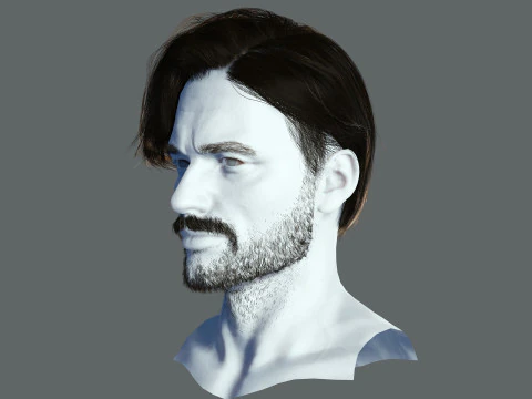 Realtime hair man Polygone Hairstyle 3D Model
