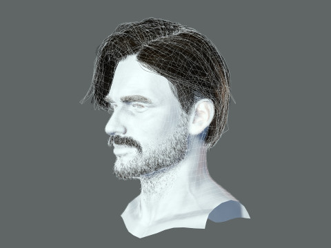 Realtime hair man Polygone Hairstyle Modello 3D