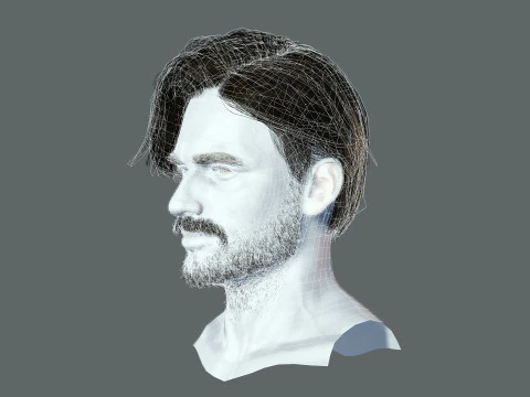 Realtime hair man Polygone Hairstyle 3D Model