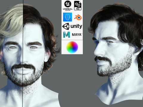 Realtime hair man low poly Hairstyle 2 3D 模型