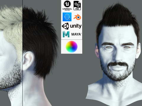 Hair style 3D Модель
