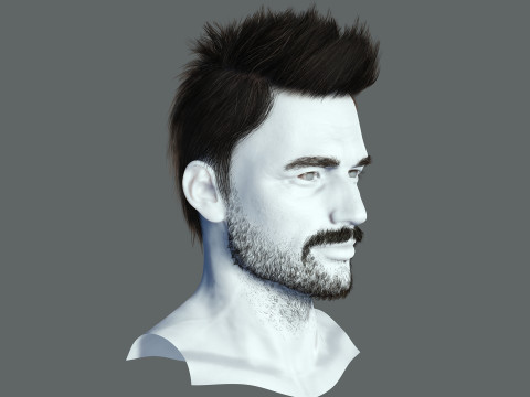 Hair style 3D Model