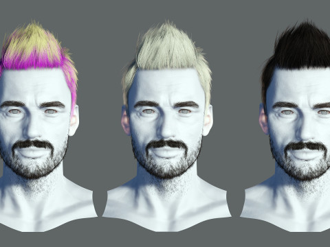 Hair style 3D Model