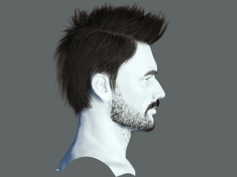 Hair style 3D Model
