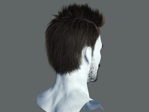 Hair style 3D Model