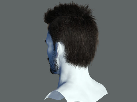 Hair style 3D Model