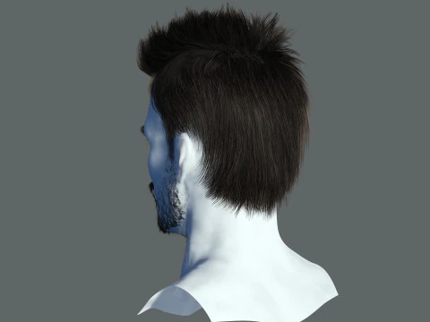 헤어스타일 3D 모델