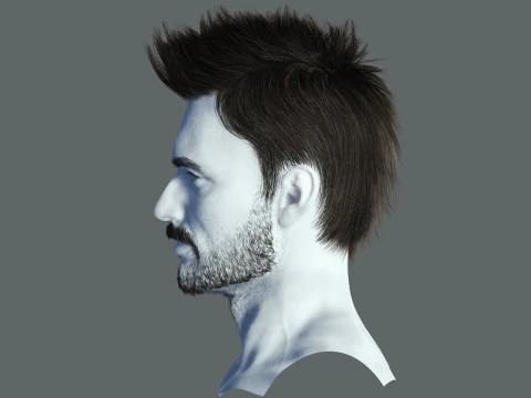 헤어스타일 3D 모델