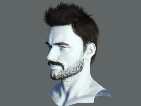 Hair style 3D Model