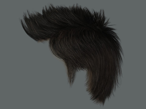 Hair style 3D Model