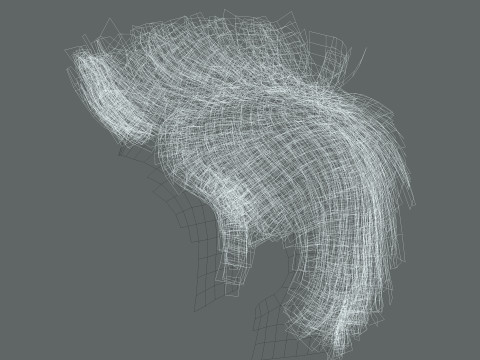 Hair style 3D Model