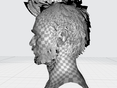 Hair style 3D Model