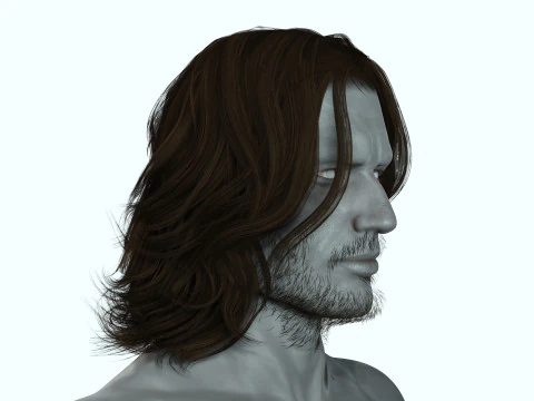 Hair Beard Brows Mustache Classic 3D Model