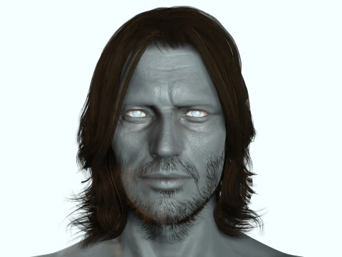 Hair Beard Brows Mustache Classic 3D Model